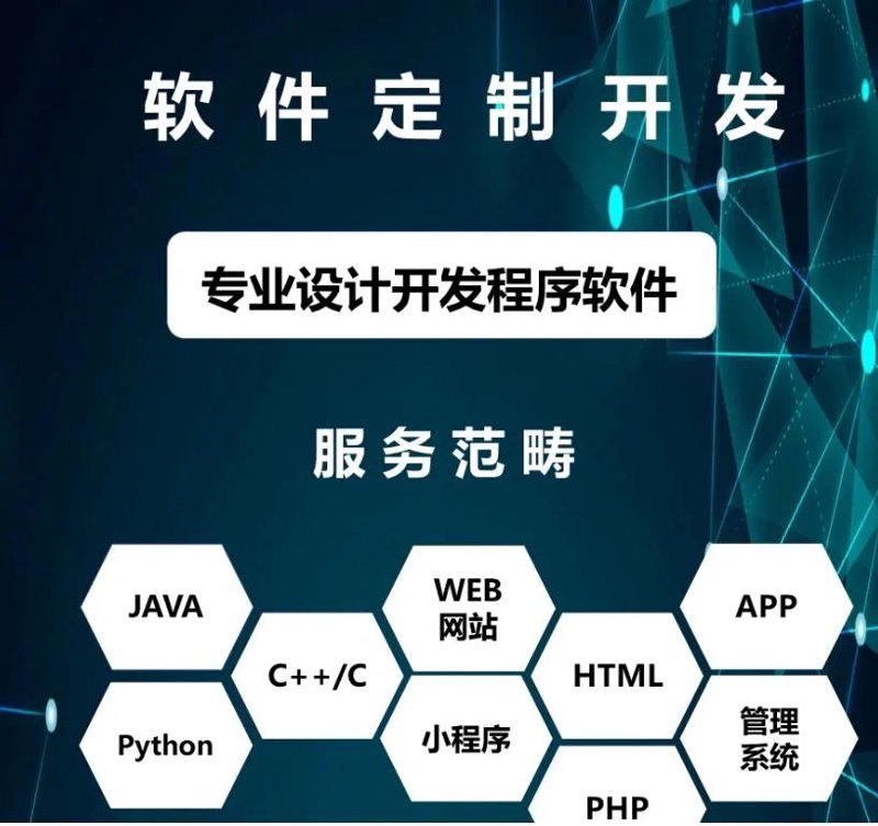 软件定制服务：提升企业竞争力的不二法宝